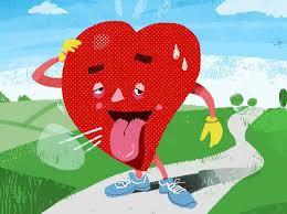 Scompenso Cardiaco: la malattia del “cuore stanco”