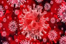VIRUS CINESE: allarme per l’infezione del coronavirus cinese.             Dopo la SARS un nuovo coronavirus suscita il timore di una epidemia.